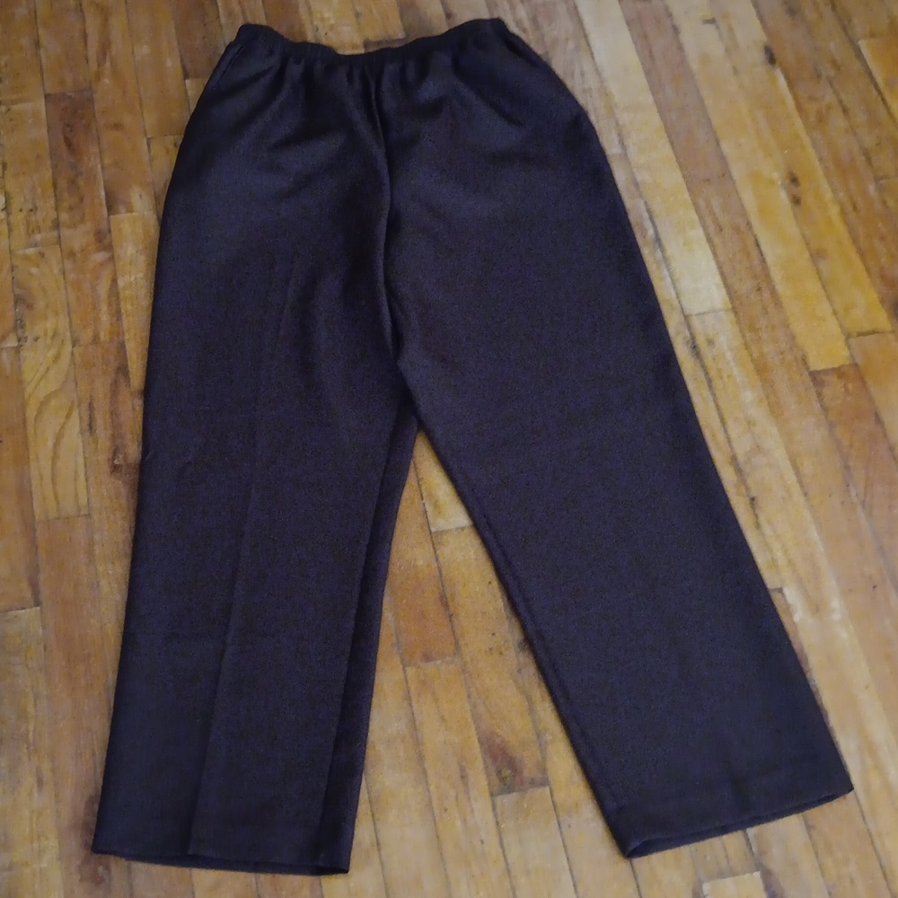 2 Pairs Alfred Dunner Straight Leg Pocket Pants Size 16 EUC - Picture 4 of 5